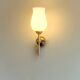 Paire d'appliques opaline et laiton 1950