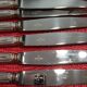 Set of 12 small knives in silver metal and stainless steel from the Ravinet d'Enfer Paris brand
