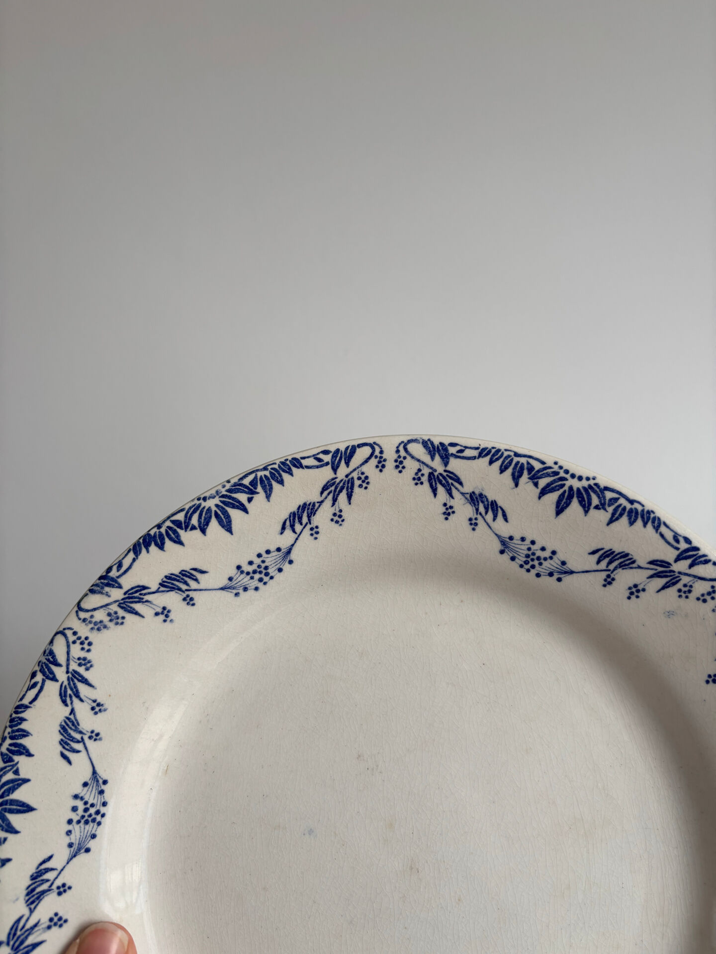Service of 4 flat plates earthenware Creil and Montereau labrador – Mo