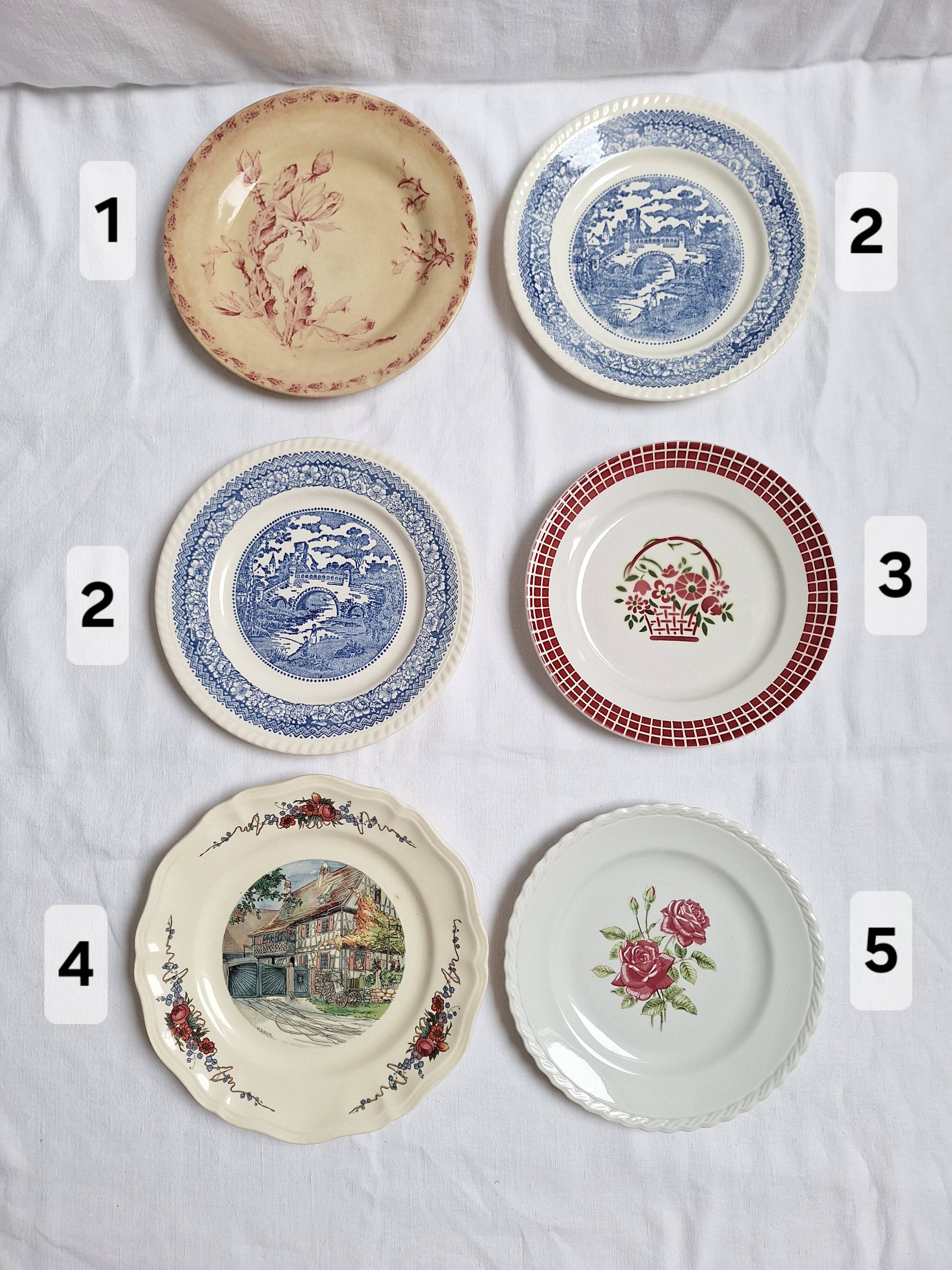 6 blue and pink dinner plates