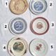6 blue and pink dinner plates