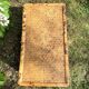 Vintage bamboo trunk