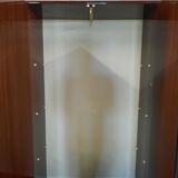 Wardrobe, 1950s bookcase, brass print / tips.