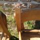 6 straw and beech bistro chairs