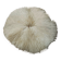 Natural round coral