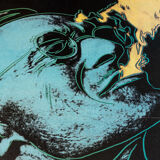 Hermann Hesse by Andy Warhol