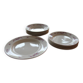 Maastricht faience dinnerware set