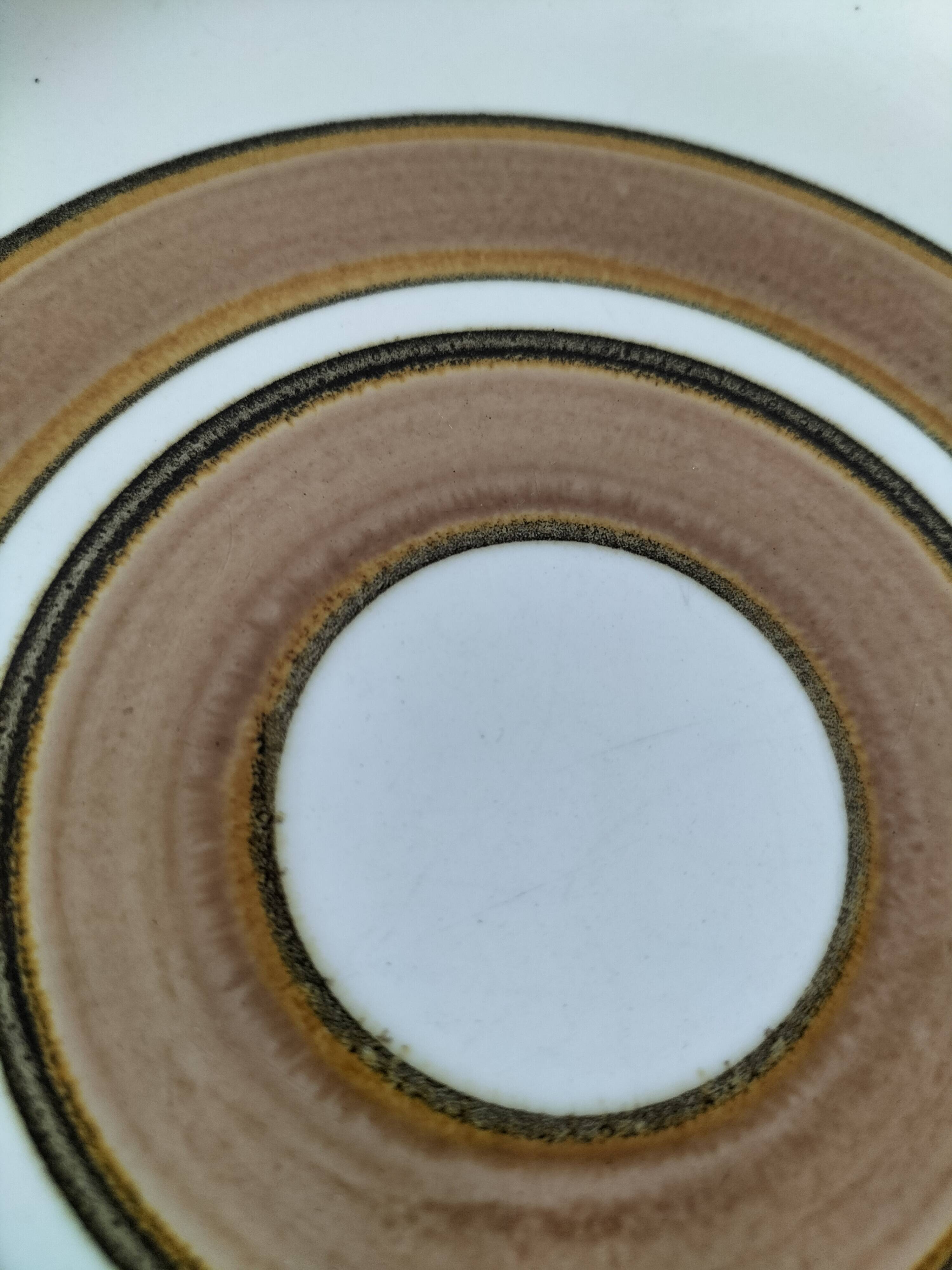 Vintage Salins plate