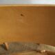 Lot of 3 vintage cantique folding chairs
