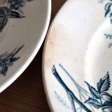 Badonviller plates