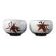 Vintage ceramic tea cup duo