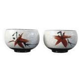 Vintage ceramic tea cup duo