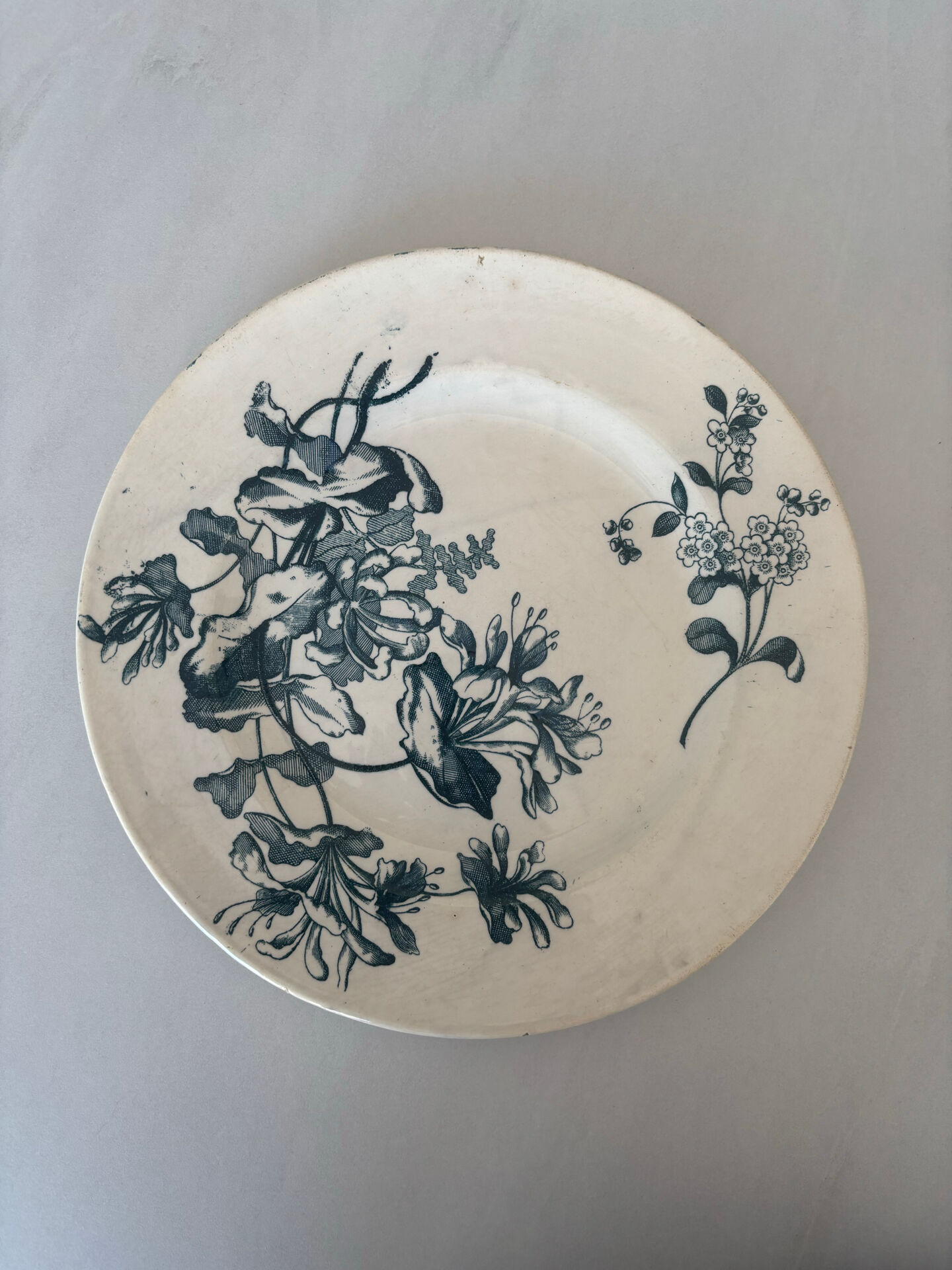 Flat plate, ironstone, Sarreguemines, blue flower - antique earthenware.
