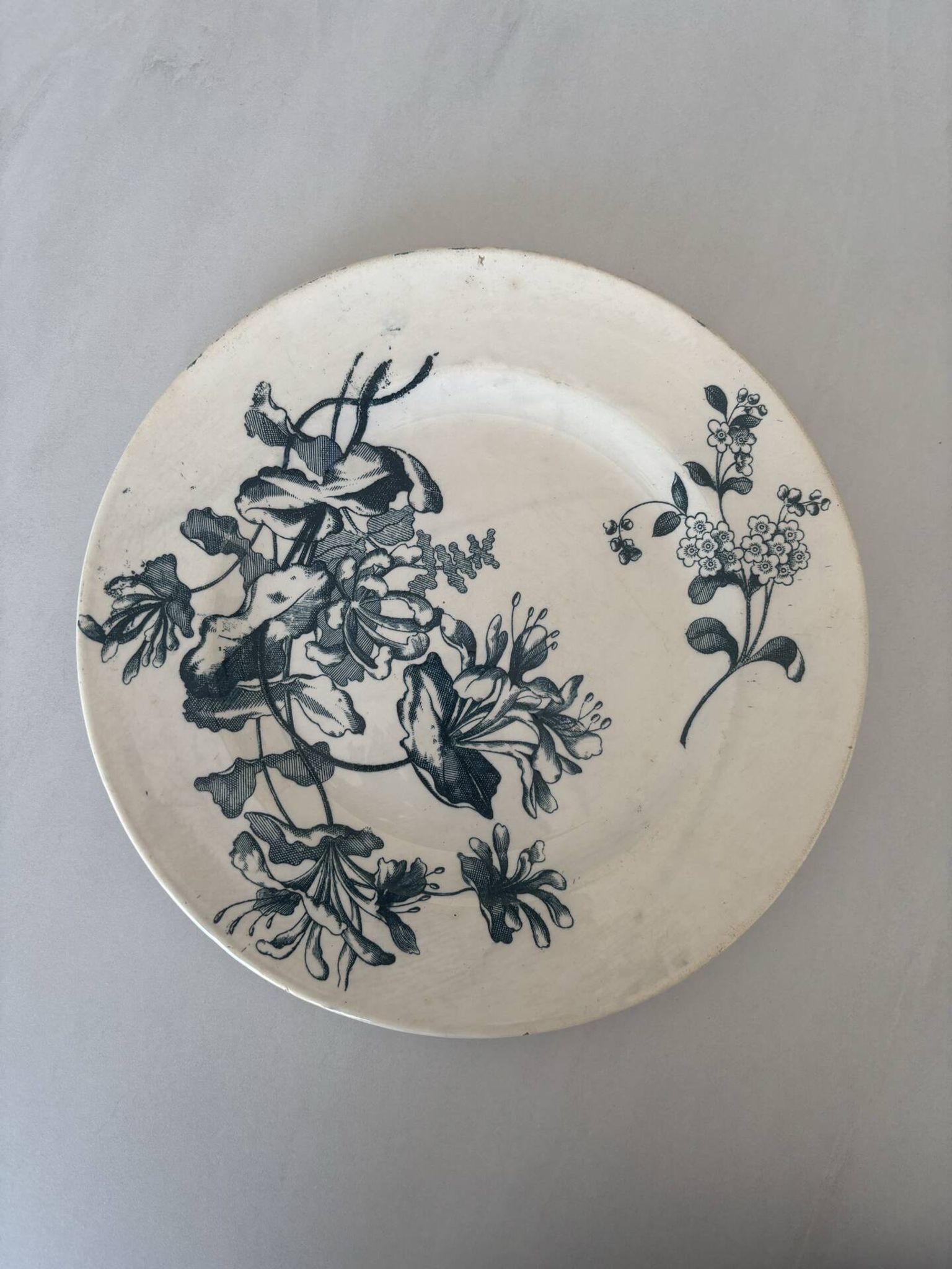 Assiette plate terre de fer sarreguemines fleur bleu- faïence ancienne