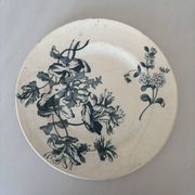 Assiette plate terre de fer sarreguemines fleur bleu- faïence ancienne