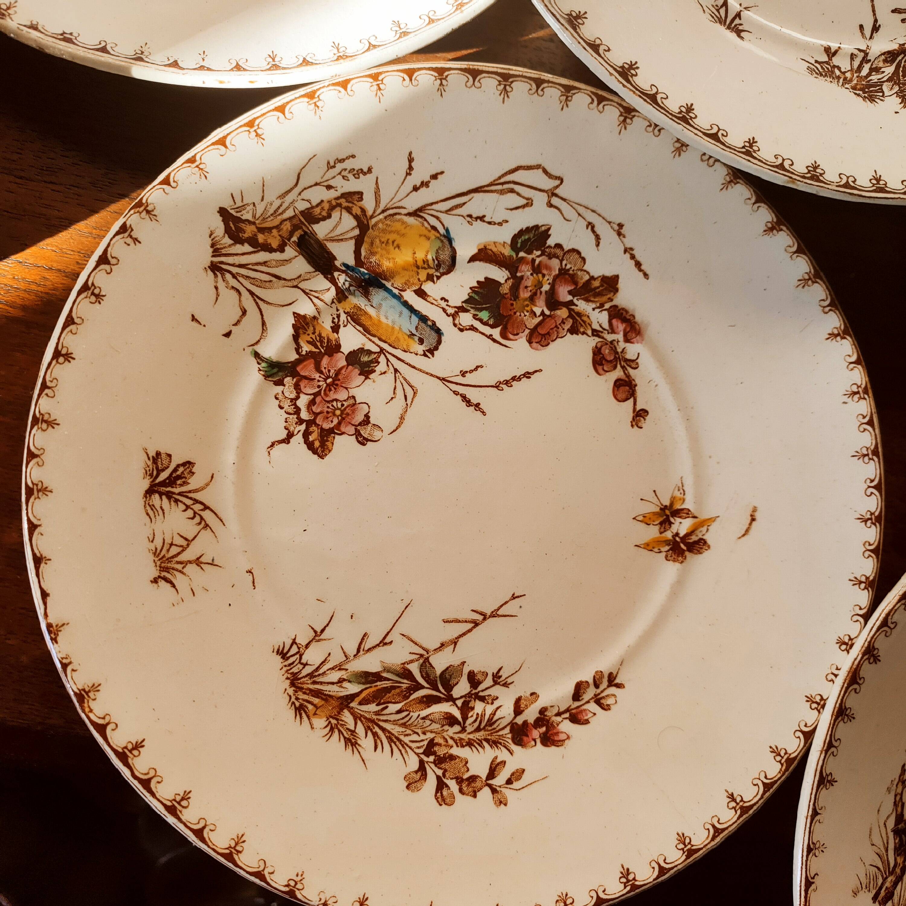 10 Lunéville earthenware plates, "Mésanges" pattern