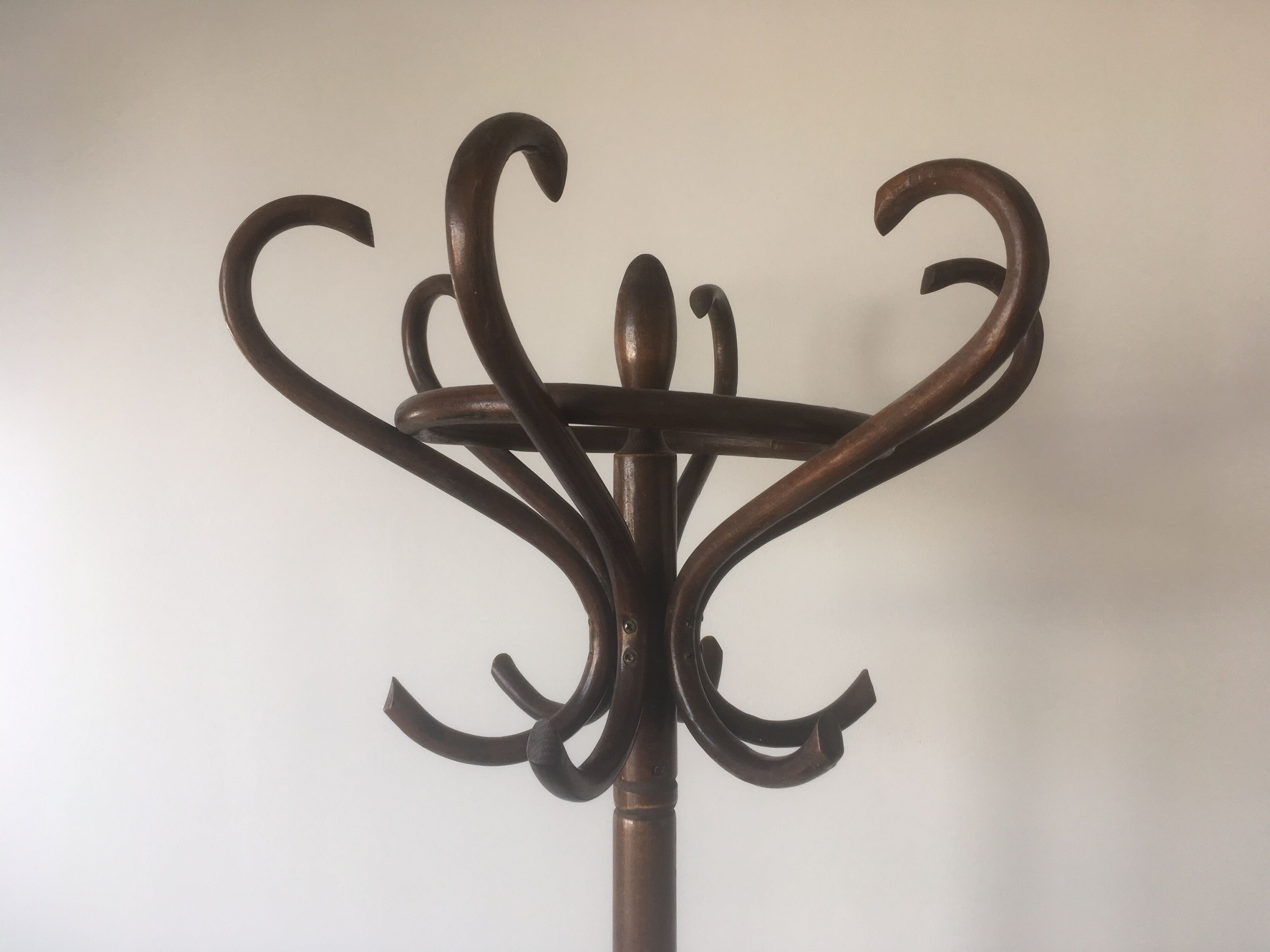Old curved wooden parrot coat holders