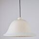 Vintage Pendant Zebra Lamp from Peill & Putzler, 1960s