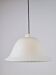 Vintage Pendant Zebra Lamp from Peill & Putzler, 1960s