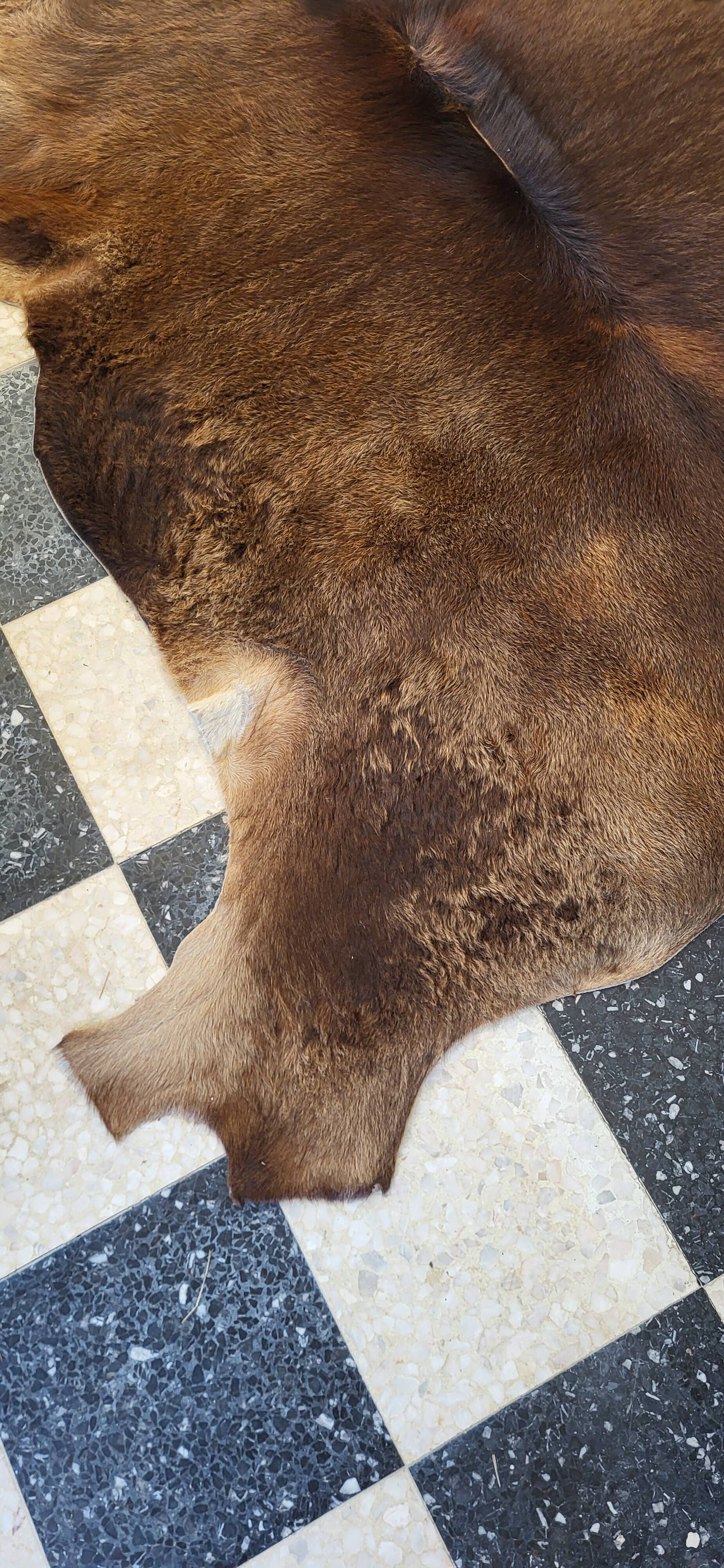 Cowhide / calfskin