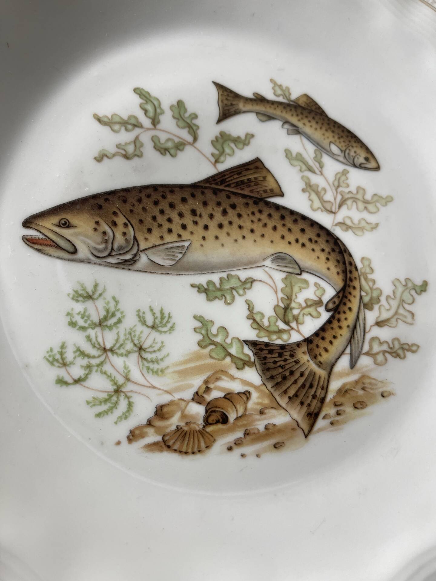 Fish plates in Limoges porcelain – Vintage service for 6