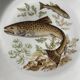 Fish plates in Limoges porcelain – Vintage service for 6