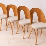 Set of 8 midcentury dining chairs by a.šuman, customizable upholstery available