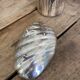 Silver metal pocket empty