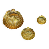 Empty old shell pockets