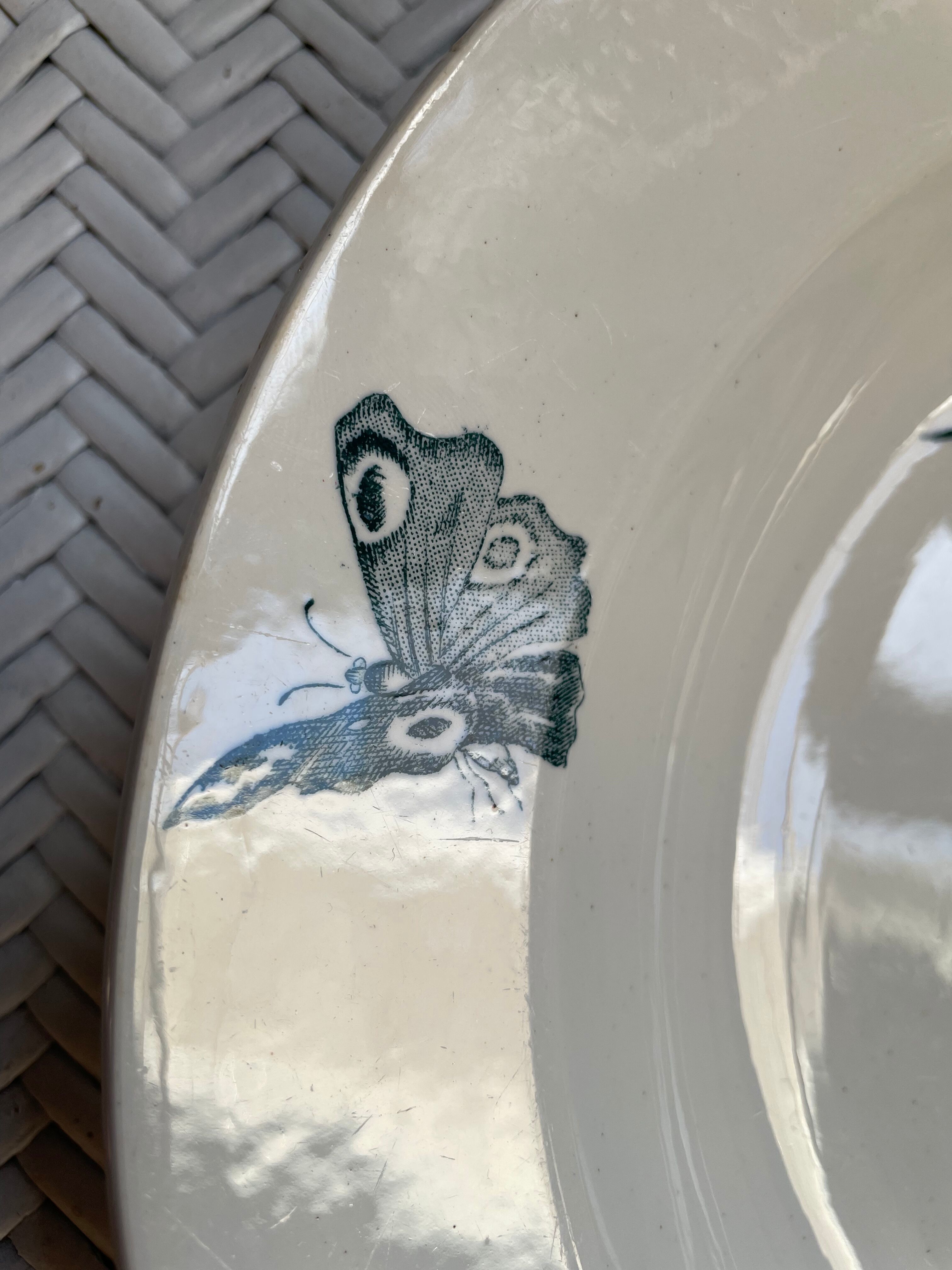 Hollow dish Saint Amand & Hamage "Aucella"
