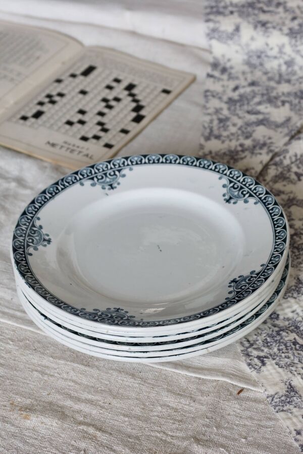 6 assiettes plates vintage terre de fer – Série Andrinople - Moulin des Lou