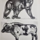 Illustrated plate, Studies of a Bear and an Ox Signed André Margat, 1930