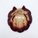 Grand coquillage en verre de murano vintage, 1960