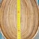 Gabriella Crespi basket