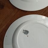 Set of 2 decorative plates