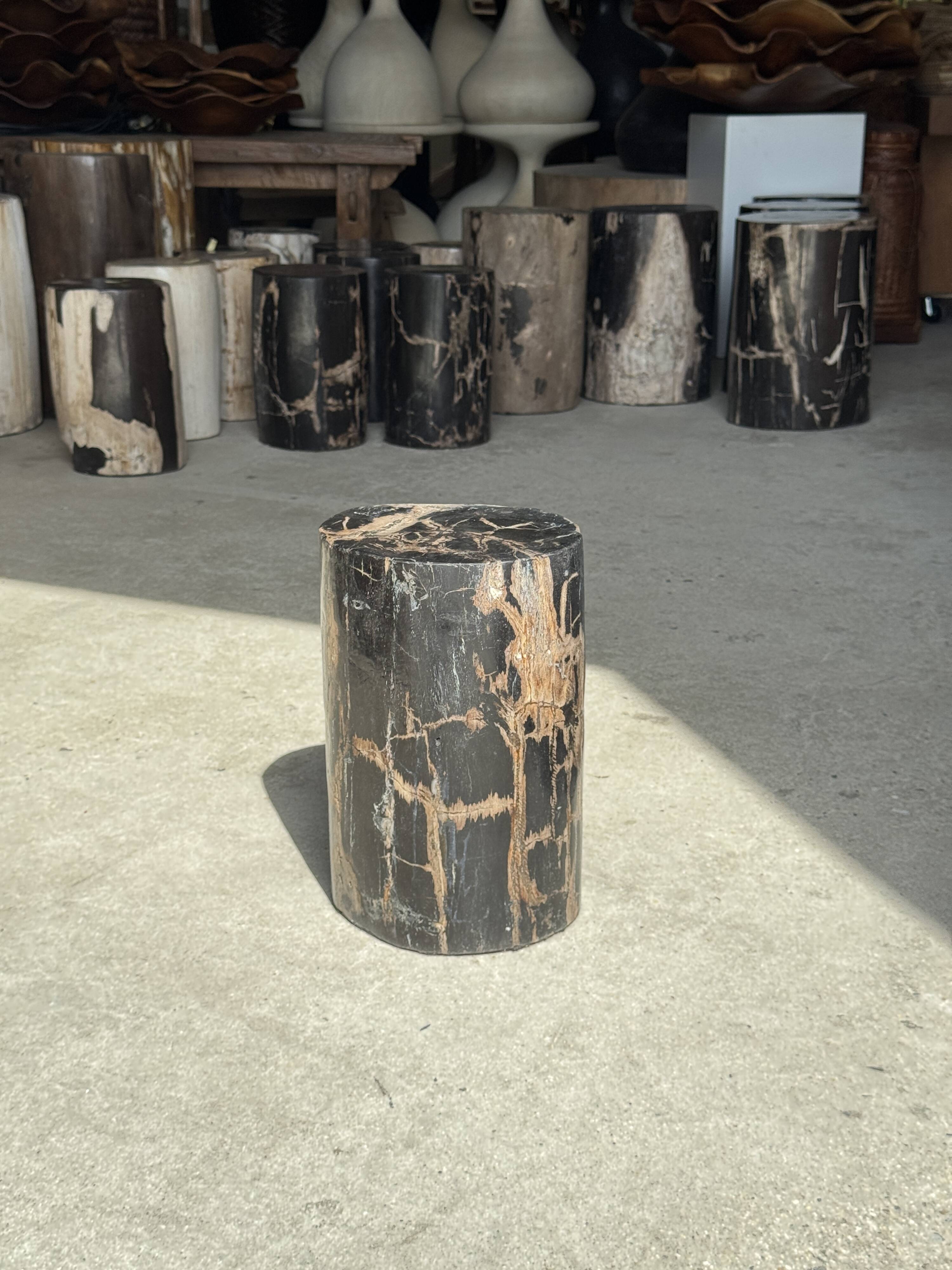 Table d'appoint en bois pétrifié noir