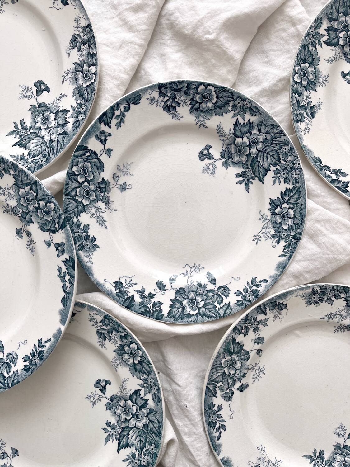 6 flat ironstone plates “Marie Louise” Saint Amand and Hamage
