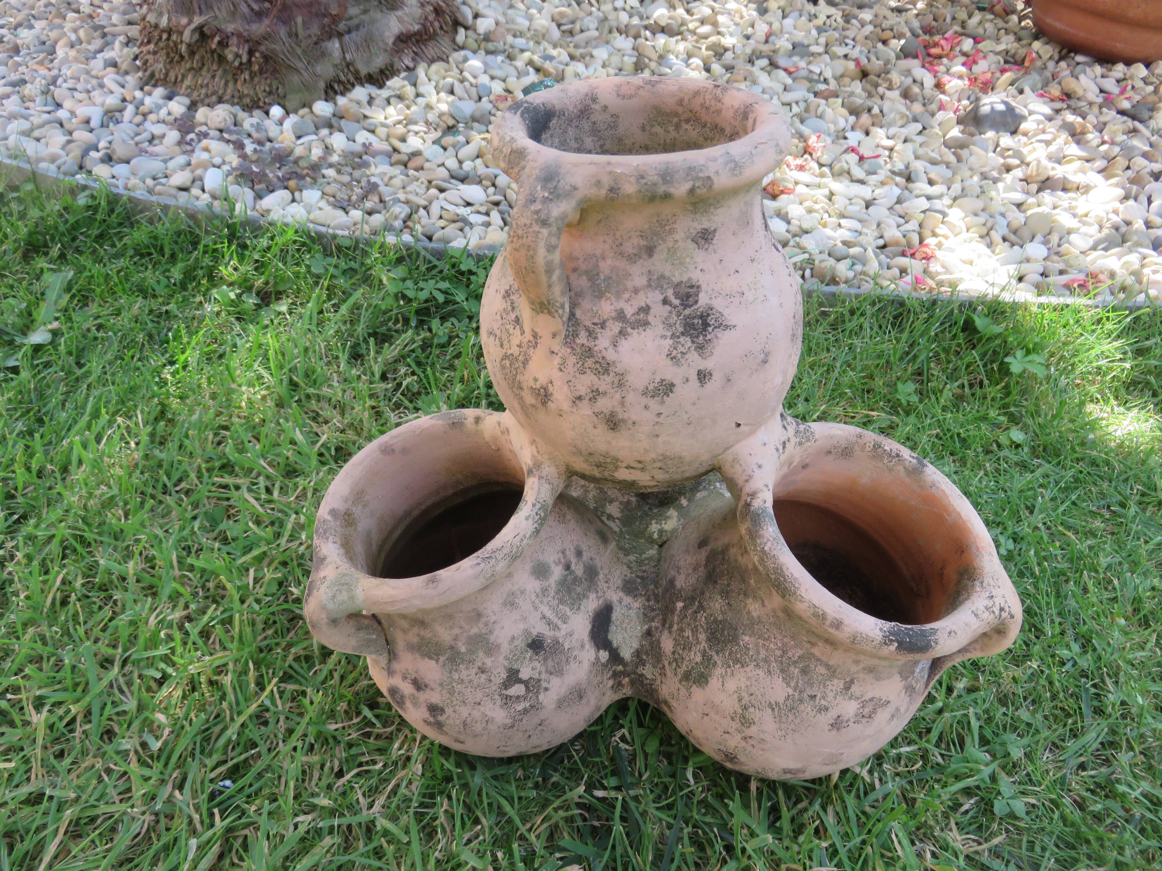 Pot de fleurs multiple en terre cuite, terracotta 1960