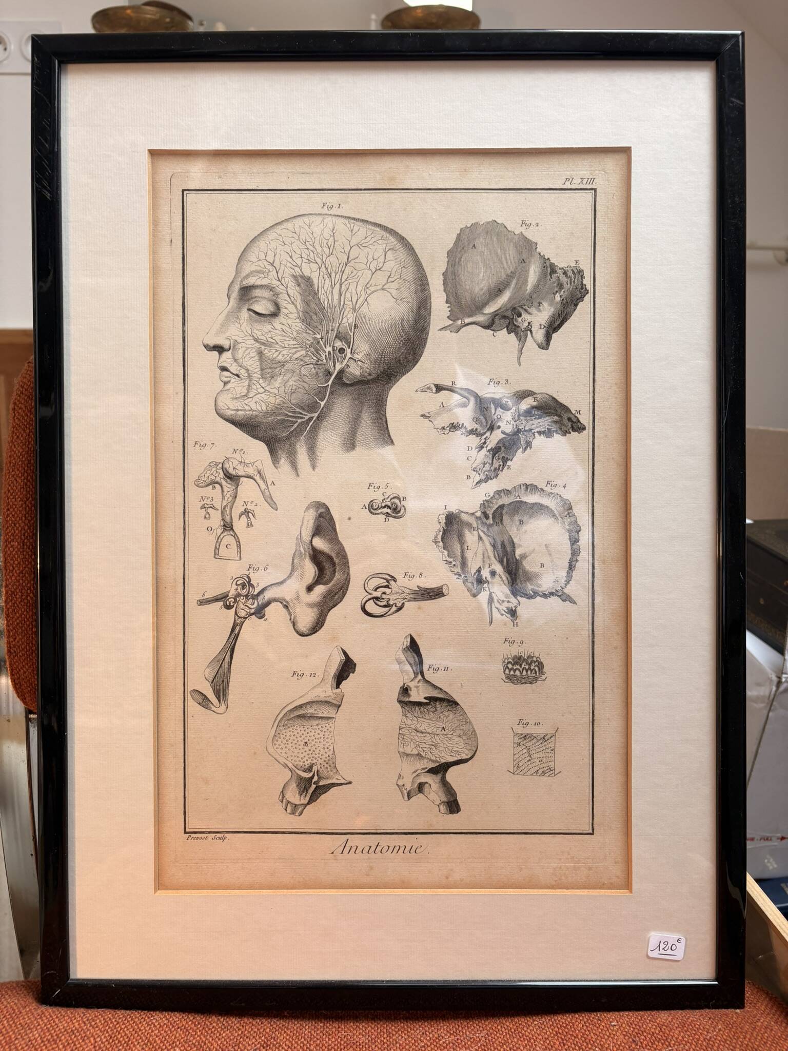 Engraving of Verney Duverney Valsava Encyclopaedia Direct Anatomy Ear