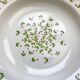 Deep plates Ironstone Italian Giovanni Valdarno pattern green red