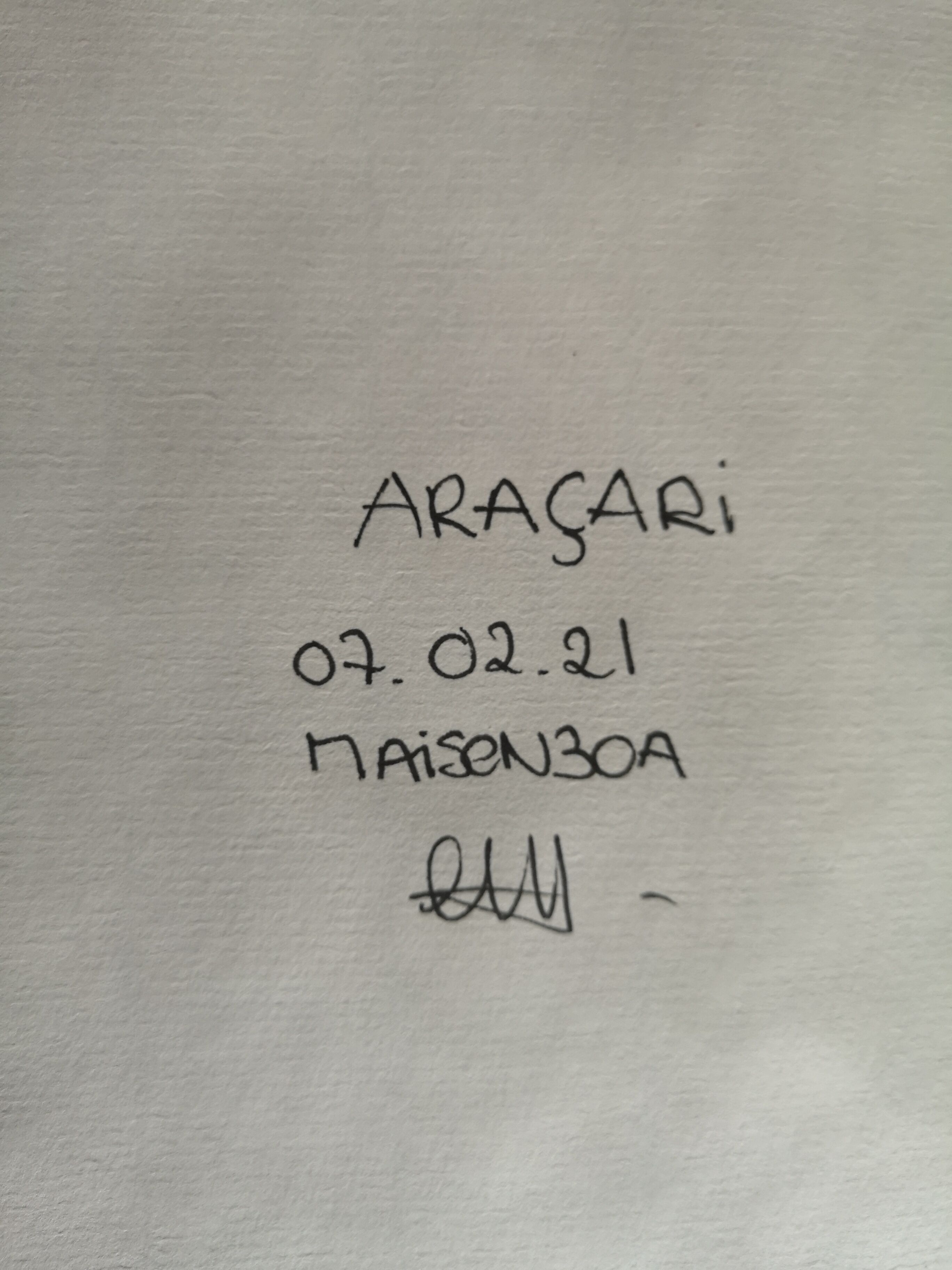 Araçari III