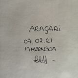 Araçari III