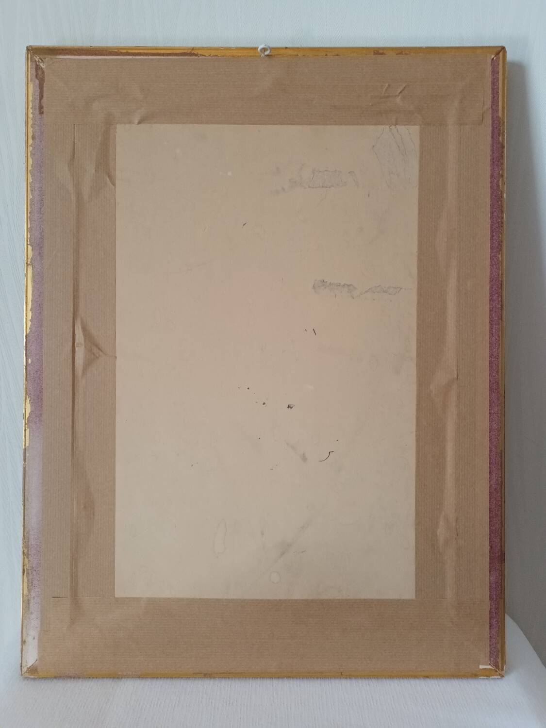 Vintage framed botanical poster