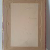 Vintage framed botanical poster