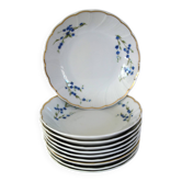 10 Bernardaud Limoges porcelain forget-me-not fruit dessert bowls
