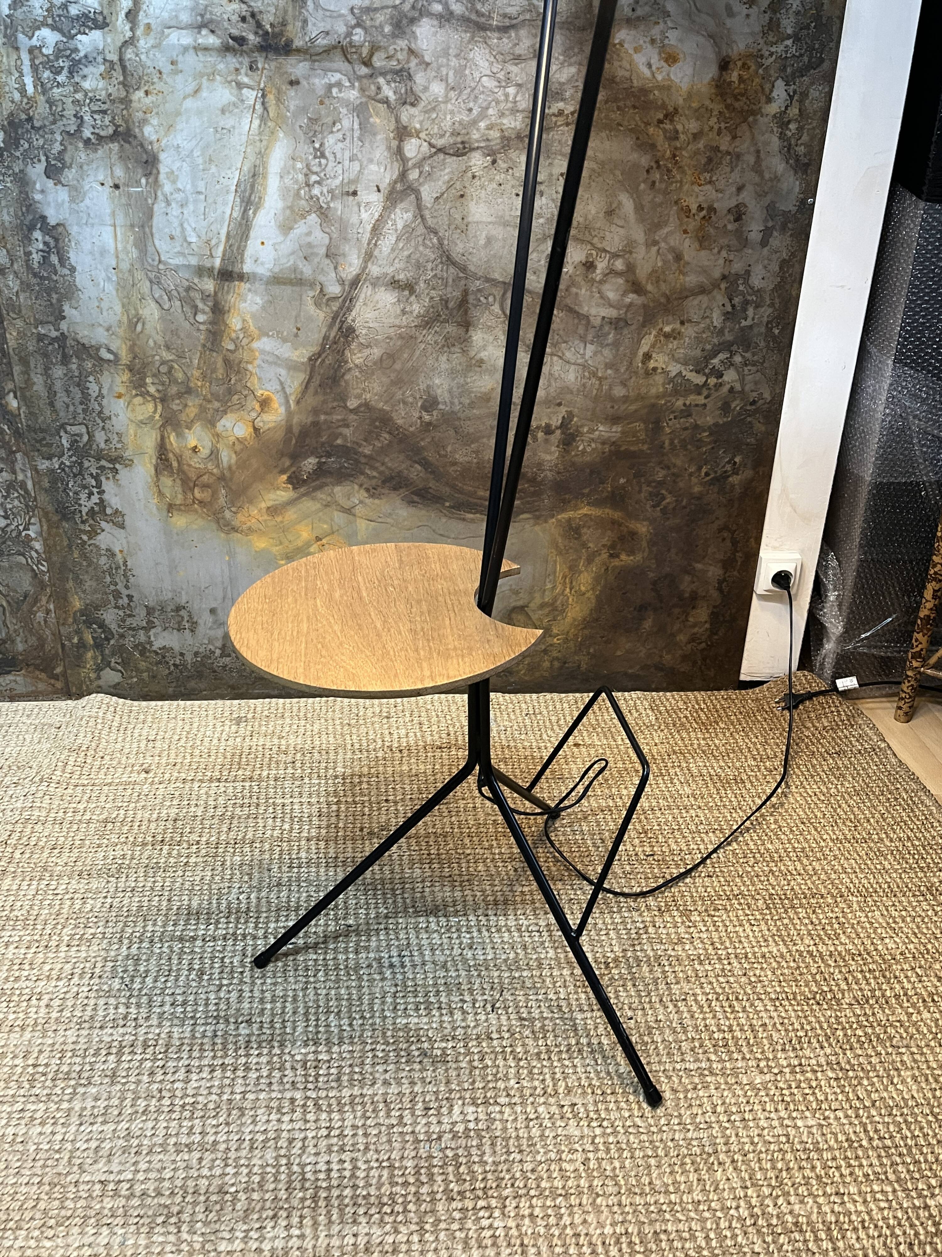 Double foot lamp compass and harness