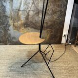 Double foot lamp compass and harness