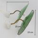 Duo of enamelled sheet metal sconces