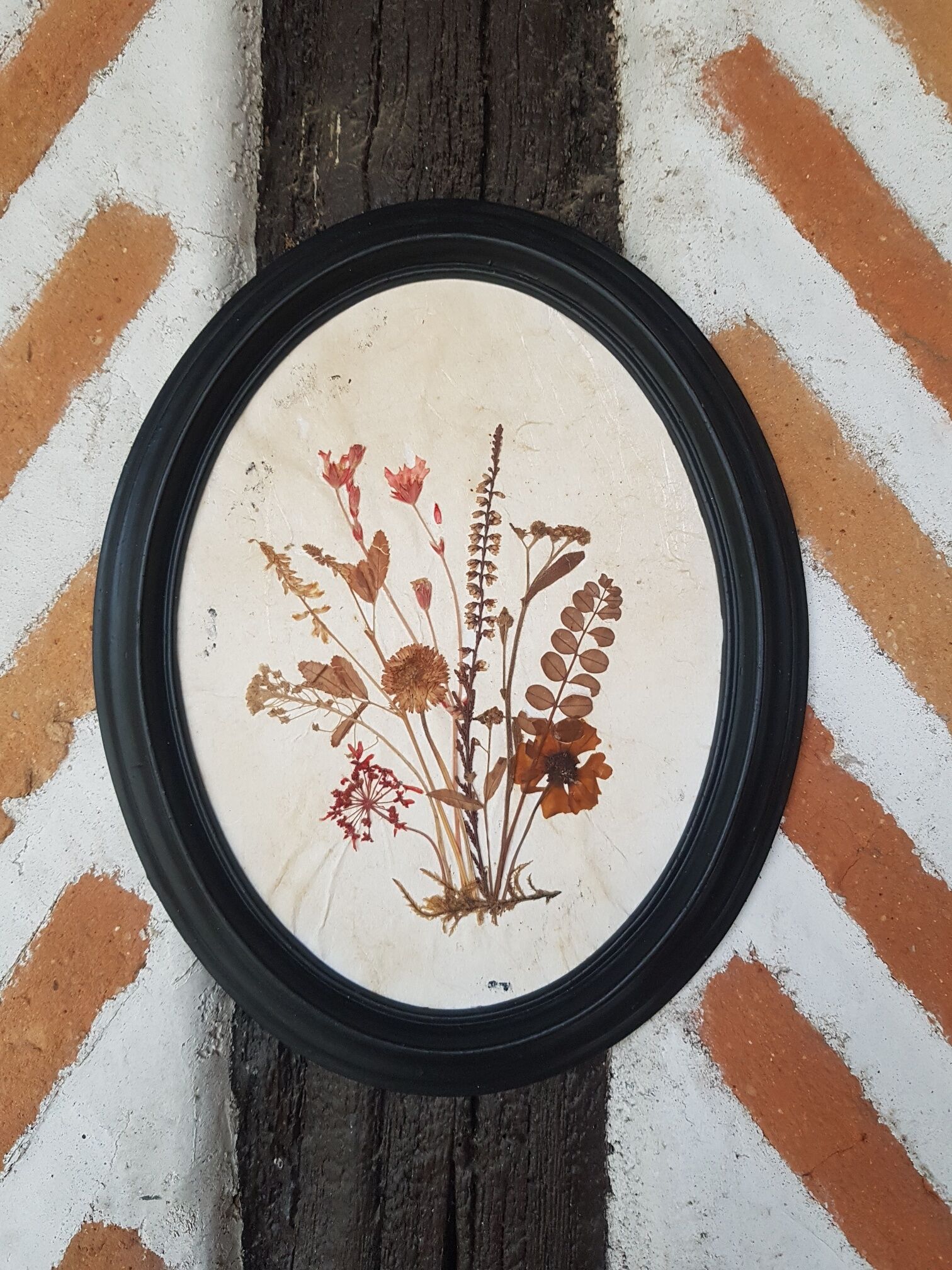 Pair of dried flower frames