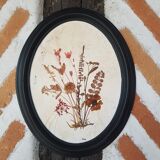 Pair of dried flower frames
